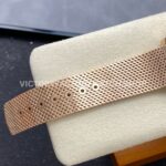 VS Factory Omega Seamaster Diver 300M 210.90.42.20.01.003 42mm Full Bronze Gold Black Dial