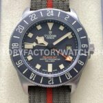 M+ Factory Tudor Pelagos FXD GMT M2542G247NU-0002 42mm Titanium Brown Textile Strap Black Dial (2) M+ Factory Tudor Pelagos FXD GMT brown strap
